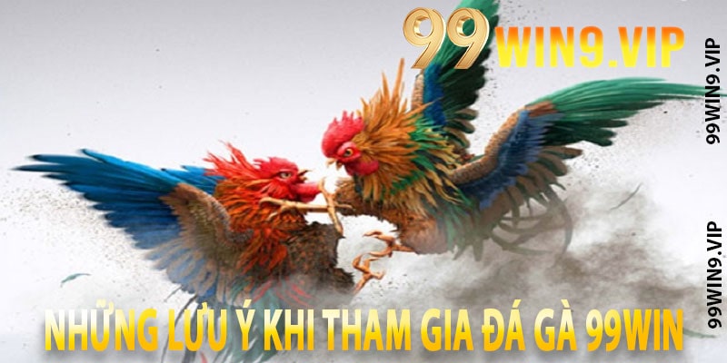 Những lưu ý khi tham gia đá gà 99win